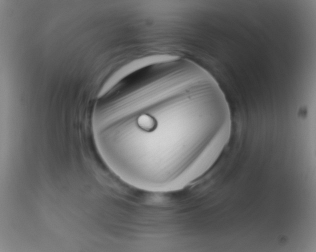 X0000113940380200910161921
