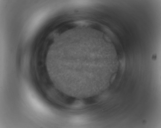 X0000113940381200910161921