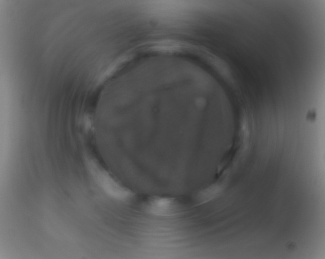 X0000113940382200910161921