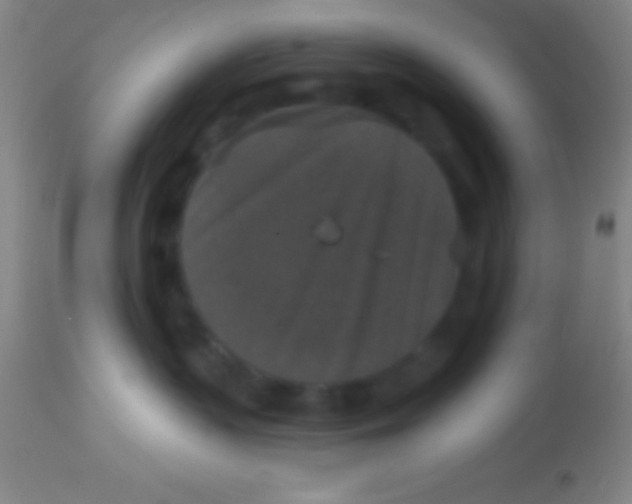 X0000113940383200910161921