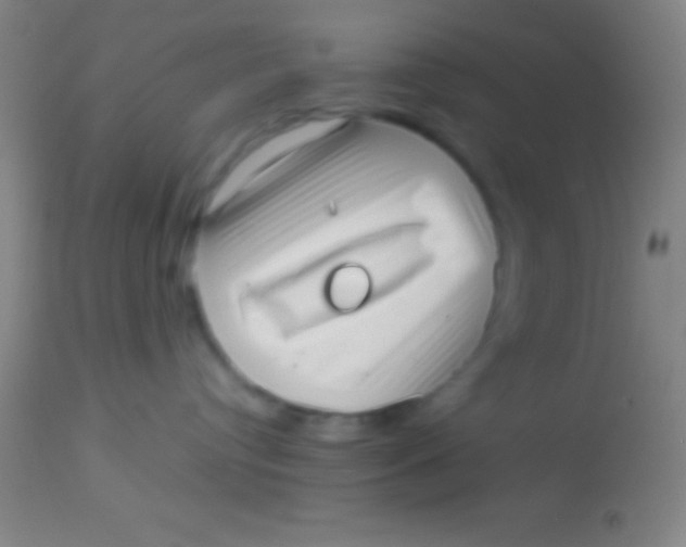 X0000113940384200910161921