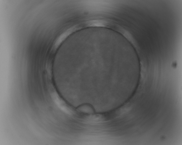 X0000113940386200910161920