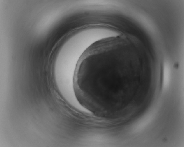X0000113940387200910161920