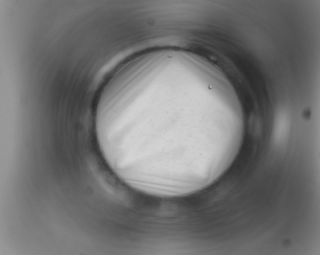 X0000113940388200910161920