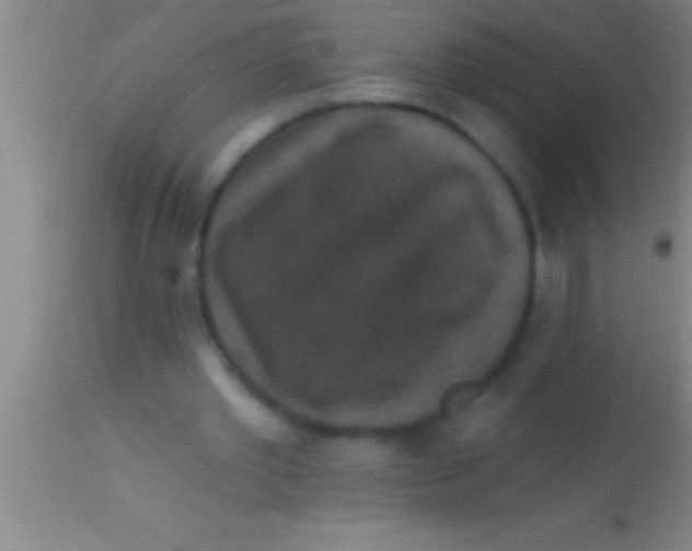 X0000113940389200910161920