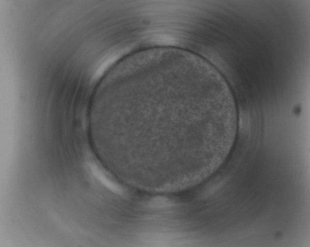 X0000113940390200910161920