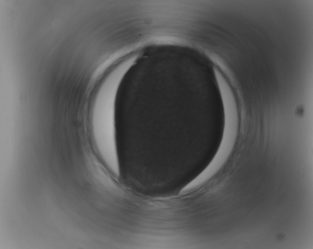 X0000113940391200910161920