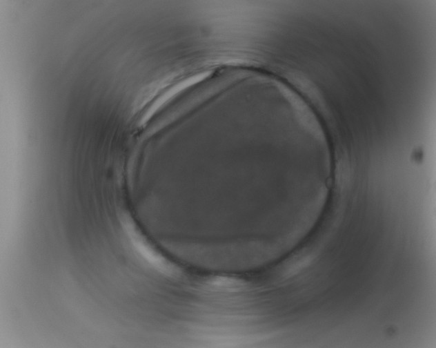 X0000113940393200910161920