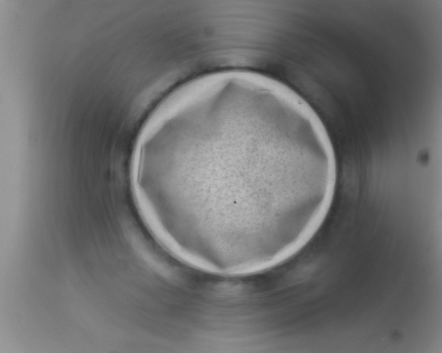 X0000113940394200910161920