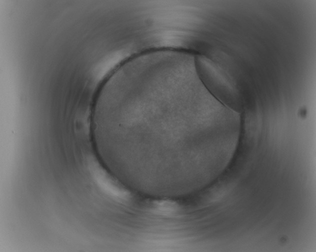 X0000113940395200910161920