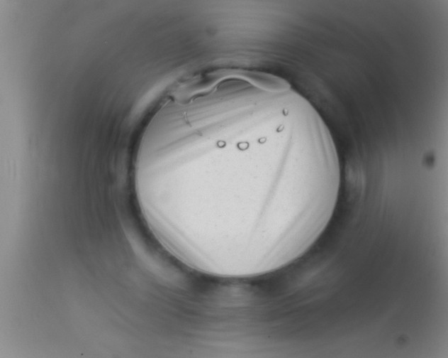X0000113940396200910161920