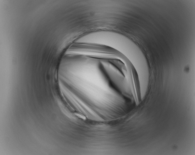 X0000113940397200910161920