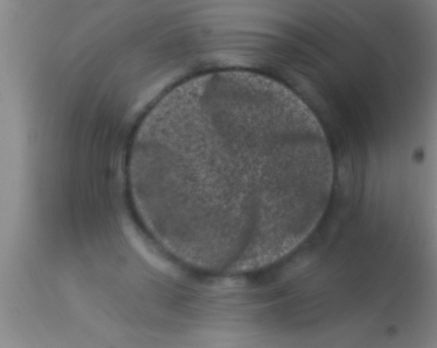 X0000113940398200910161920