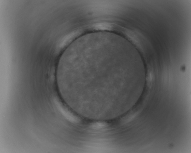 X0000113940402200910161920
