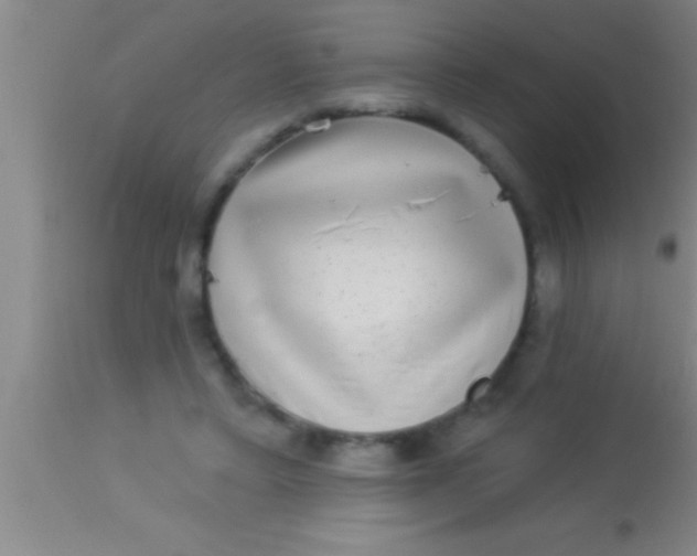 X0000113940403200910161920