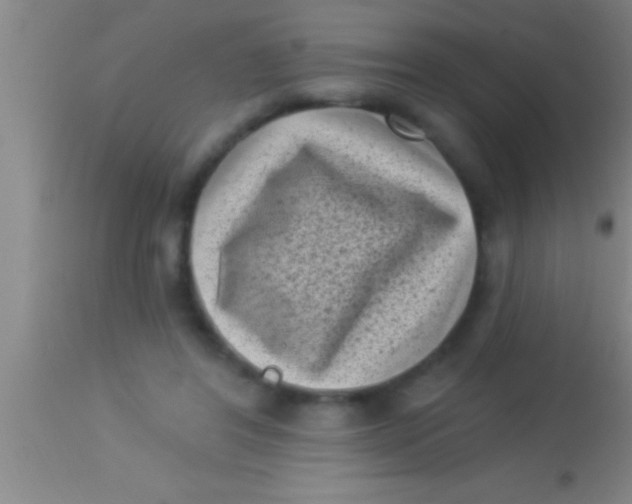 X0000113940404200910161920