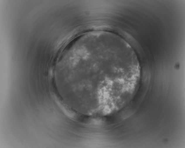 X0000113940405200910161920