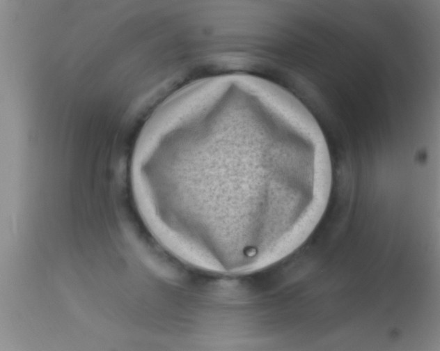 X0000113940406200910161920