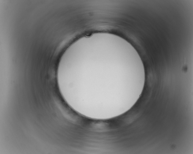 X0000113940407200910161920