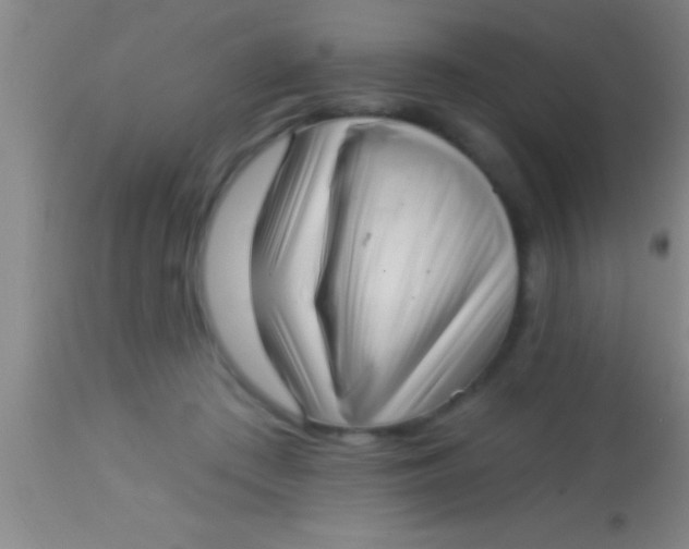X0000113940409200910161920