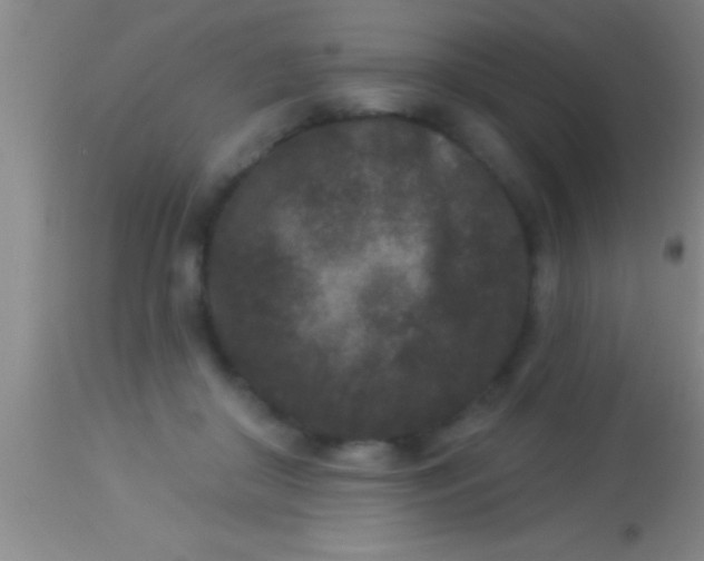 X0000113940410200910161920