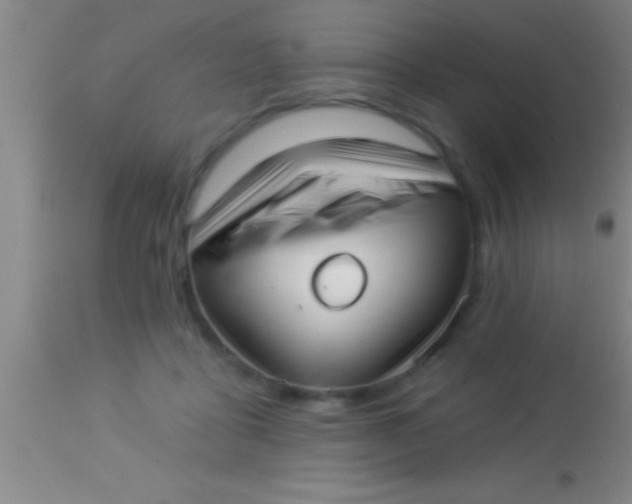 X0000113940411200910161920