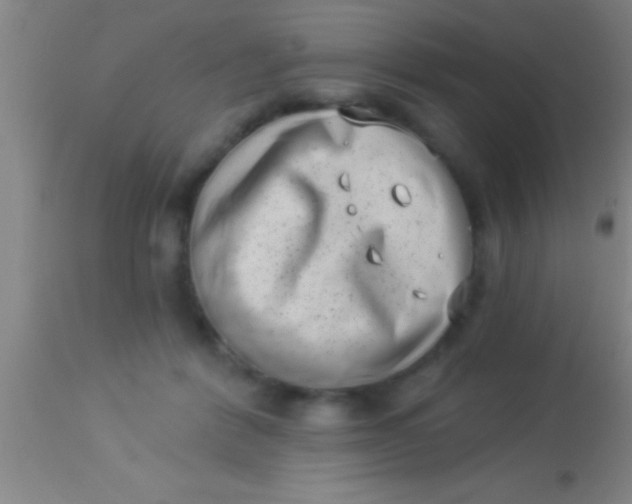 X0000113940412200910161920