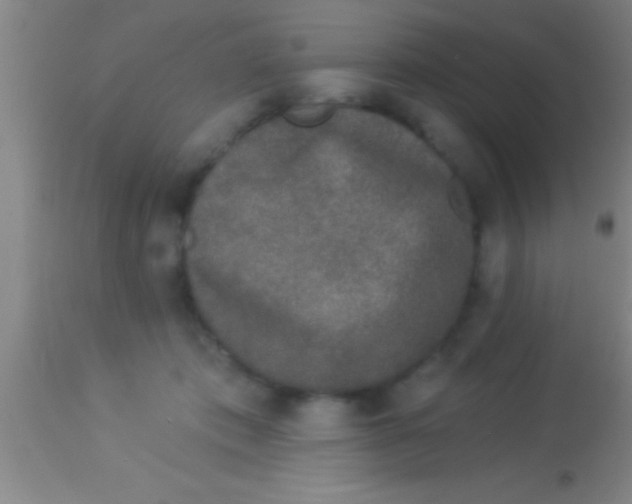 X0000113940413200910161920