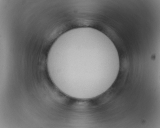 X0000113940414200910161920