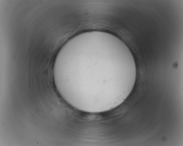 X0000113940415200910161920
