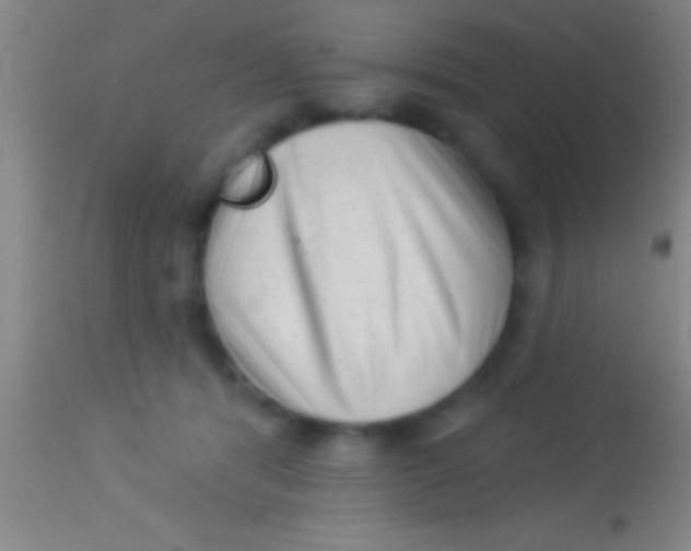 X0000113940416200910161920