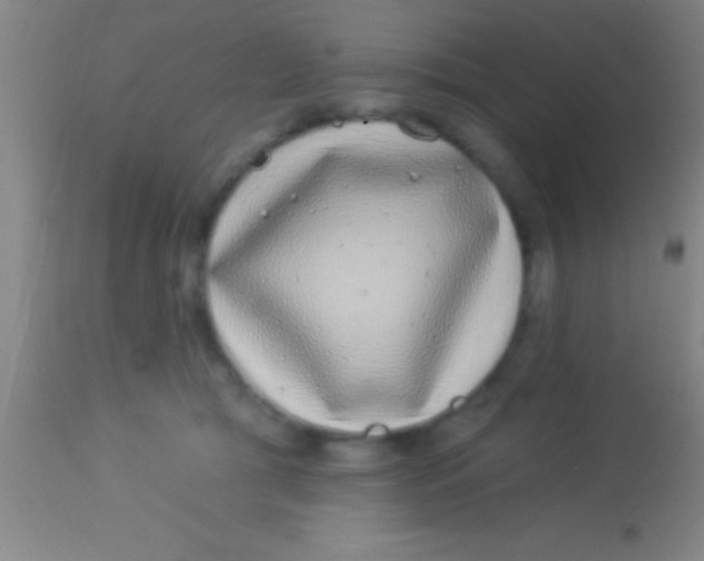 X0000113940417200910161920