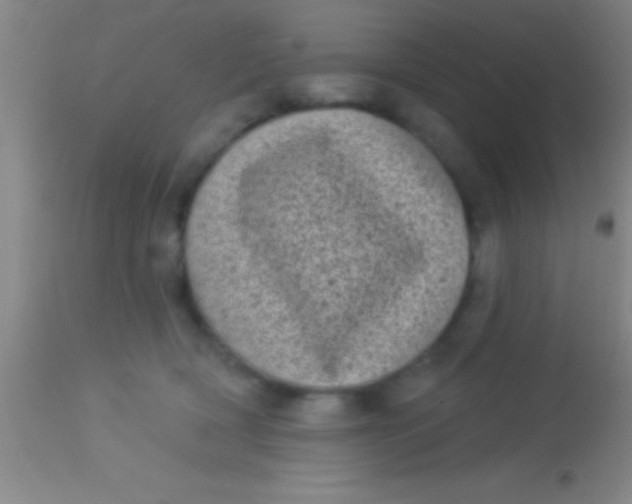 X0000113940418200910161920