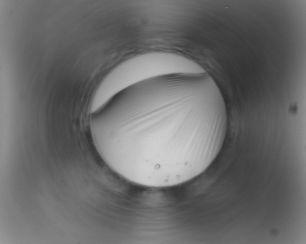 X0000113940419200910161920