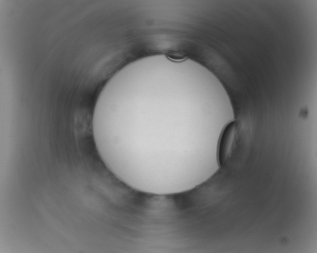 X0000113940421200910161920
