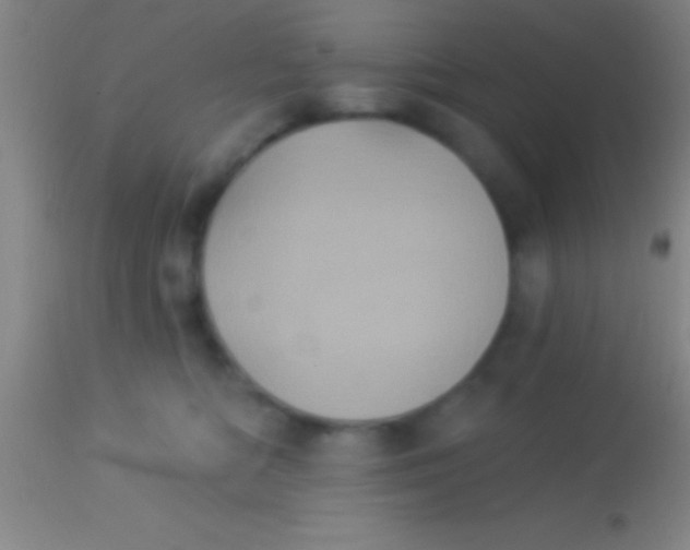 X0000113940422200910161919