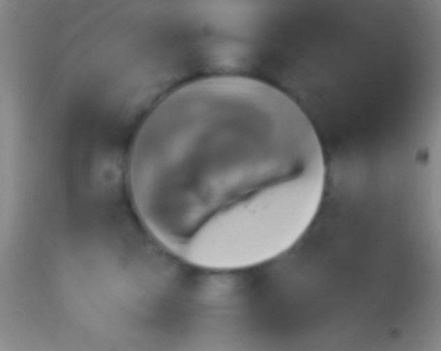 X0000113940423200910161919