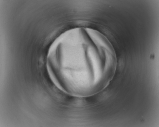 X0000113940424200910161919