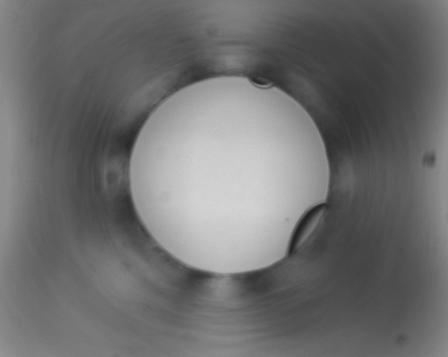 X0000113940425200910161919