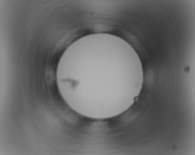 X0000113940426200910161919