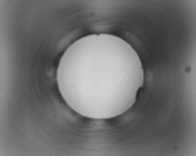X0000113940428200910161919
