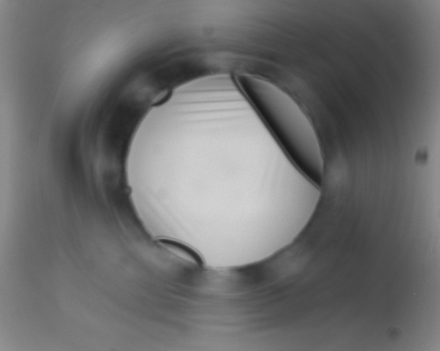 X0000113940429200910161919