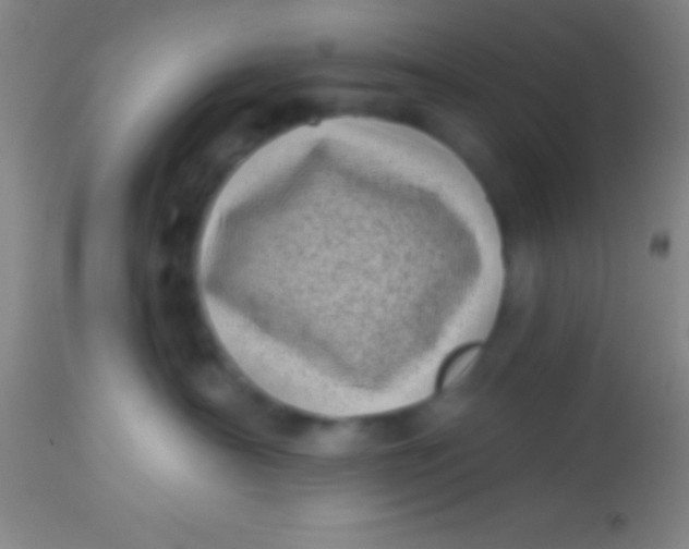 X0000113940430200910161919