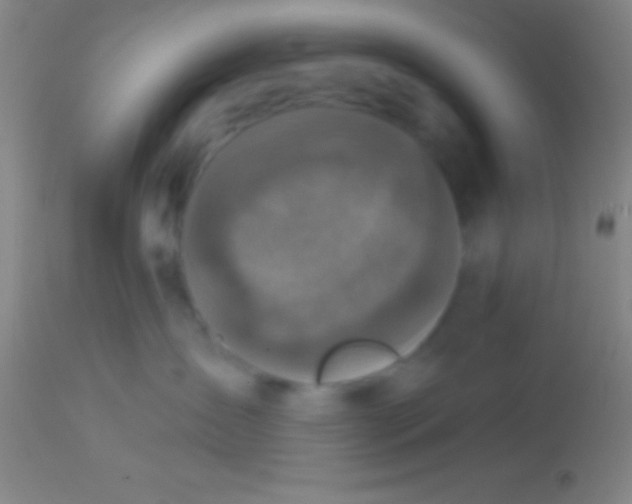 X0000113940431200910161919