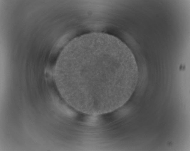 X0000113940432200910161919