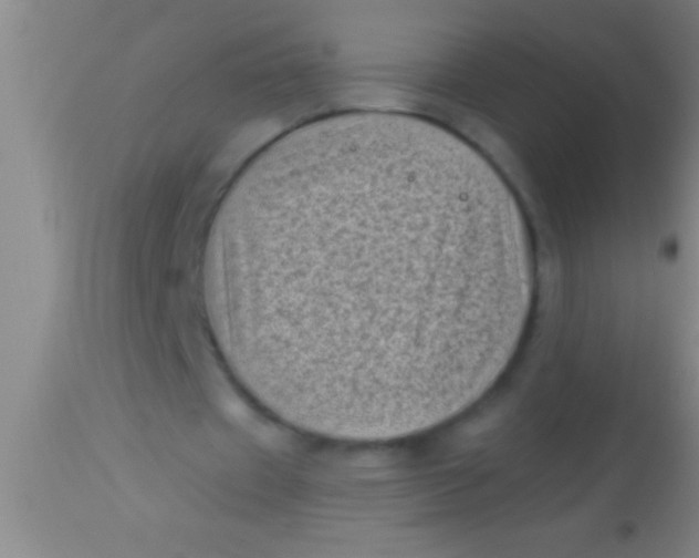 X0000113940433200910161919