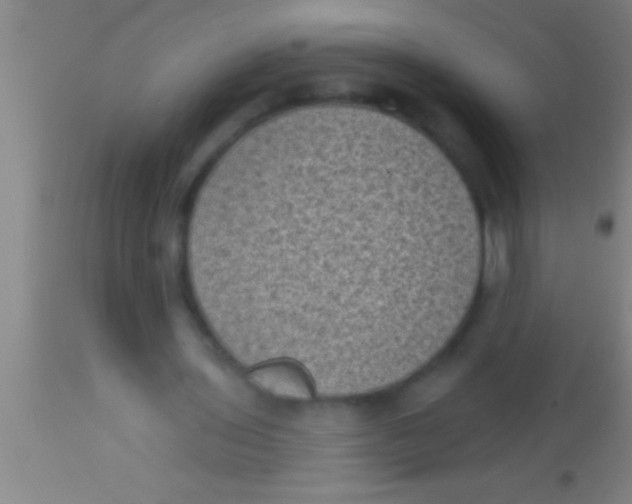 X0000113940435200910161919
