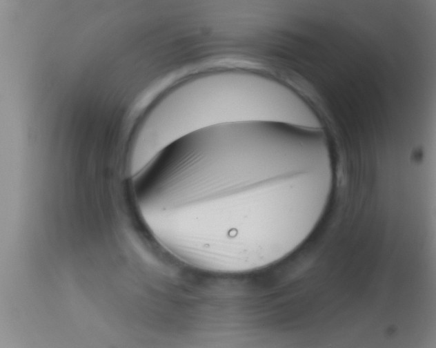 X0000113940436200910161919