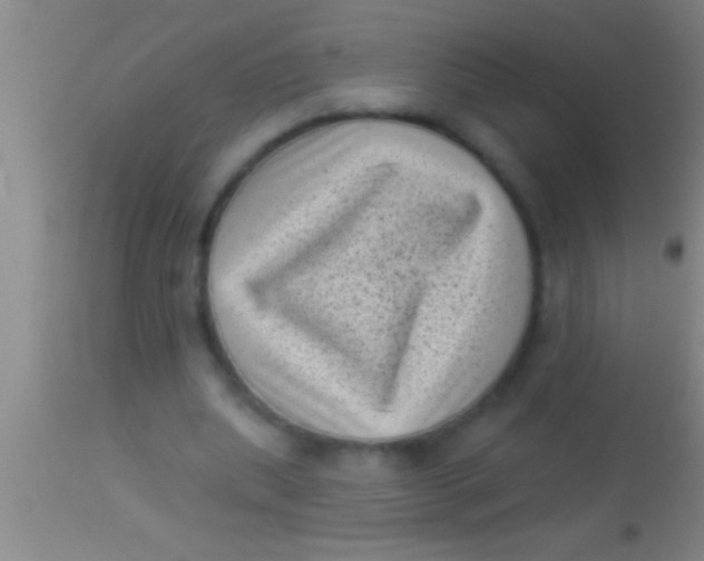 X0000113940439200910161919