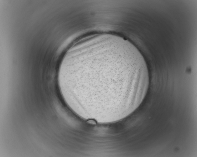 X0000113940440200910161919